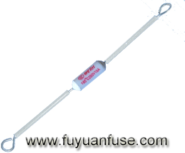 電磁爐|電飯鍋|微波爐---溫度保險(xiǎn)絲RH-01系列 電磁爐|電飯鍋|微波爐---溫度保險(xiǎn)絲RH-01系列